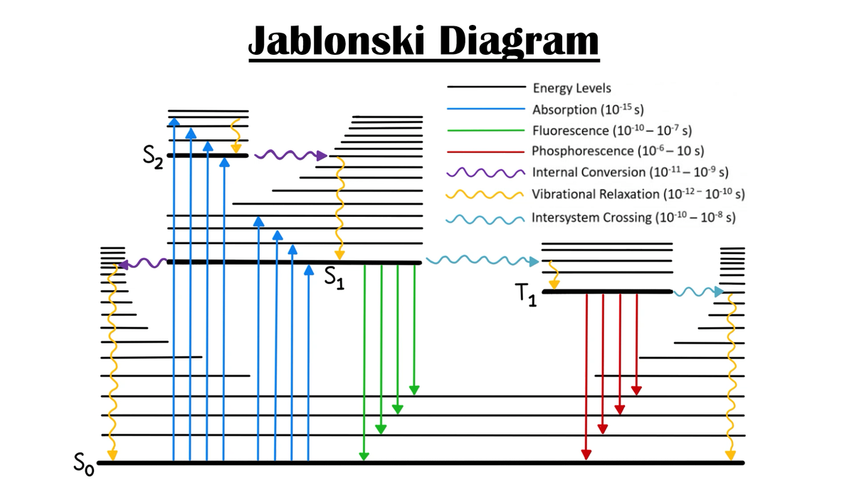 Jablonski diagram video preview