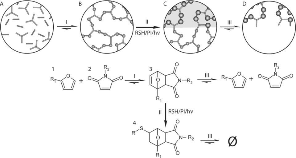 3D Photofixation Lithography in Diels–Alder Networks — graphical abstract