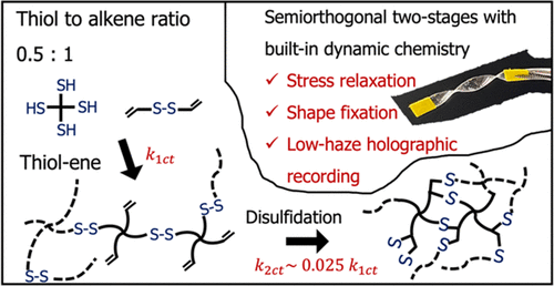 Adaptable Networks with Semiorthogonal Two-Stage Polymerizations Enabled by Sequential Photoinitiated Thiol–Ene and Disulfide–Ene Reactions — graphical abstract