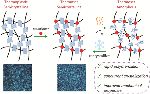 Additive manufacture of lightly crosslinked semicrystalline thiol–enes for enhanced mechanical performance — graphical abstract