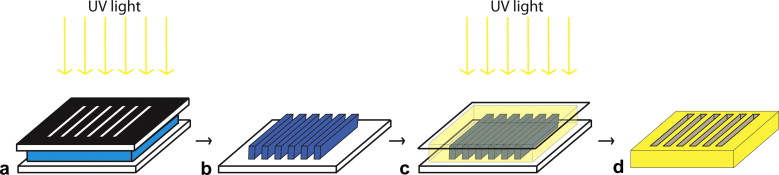 Alignment of multi-layered muscle cells within three-dimensional hydrogel macrochannels — graphical abstract