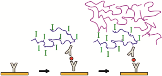 Antigen detection using polymerization-based amplification — graphical abstract