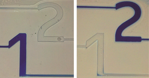 Antigen-responsive, microfluidic valves for single use diagnostics — graphical abstract