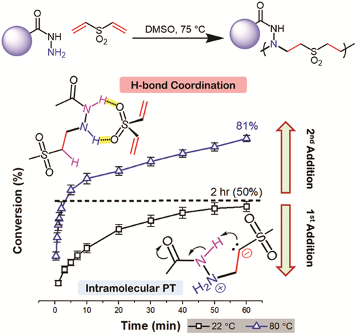 Catalyst-free, aza-Michael polymerization of hydrazides: polymerizability, kinetics, and mechanistic origin of an α-effect — graphical abstract