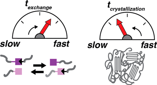Catalytic Control of Crystallization in Dynamic Networks — graphical abstract