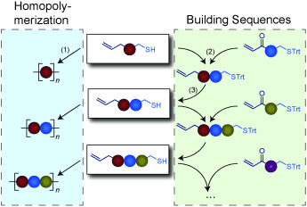 Clickable Nucleic Acids: Sequence‐Controlled Periodic Copolymer/Oligomer Synthesis by Orthogonal Thiol‐X Reactions — graphical abstract