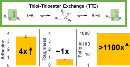 Combined Dynamic Network and Filler Interface Approach for Improved Adhesion and Toughness in Pressure-Sensitive Adhesives — graphical abstract