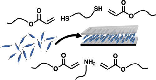 The Contribution of Oligomerization Reaction Chemistry to the Thermomechanical Properties of Surface-Aligned Liquid Crystalline Elastomers — graphical abstract
