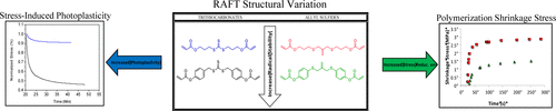 Controllable Reversible Addition–Fragmentation Termination Monomers for Advances in Photochemically Controlled Covalent Adaptable Networks — graphical abstract