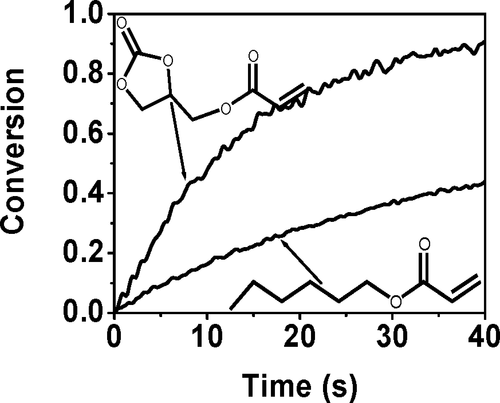 Deconvoluting the Impact of Intermolecular and Intramolecular Interactions on the Polymerization Kinetics of Ultrarapid Mono(meth)acrylates — graphical abstract