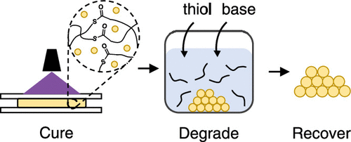 Controlled Degradation of Cast and 3-D Printed Photocurable Thioester Networks via Thiol–Thioester Exchange — graphical abstract