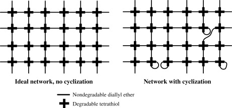Development and characterization of degradable thiol-allyl ether photopolymers — graphical abstract
