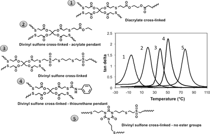 Development of Glassy Step‐Growth Thiol‐Vinyl Sulfone Polymer Networks — graphical abstract