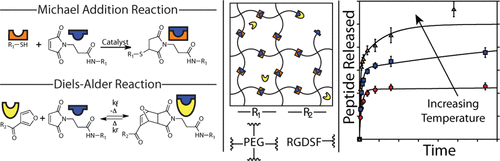 Diels–Alder Mediated Controlled Release from a Poly(ethylene glycol) Based Hydrogel — graphical abstract