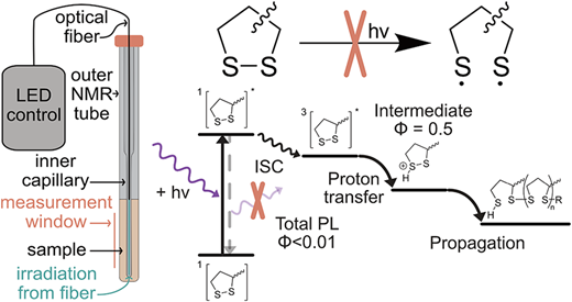 Direct Evidence for the Sulfonium-Mediated Photopolymerization of 1,2-Dithiolanes — graphical abstract