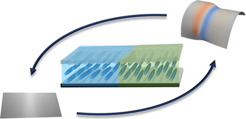 Discontinuous Metric Programming in Liquid Crystalline Elastomers — graphical abstract