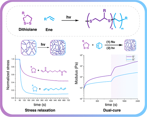 Dithiolane-Ene Copolymerization: Enabling Tunable, Dynamic, Dual-Cure Networks via Real-Time UV–Vis/FTIR Kinetics and Compositional Analysis — graphical abstract