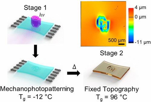 Dual-Cure Dynamic Networks for Mechanophotopatterning of Surface Topography — graphical abstract