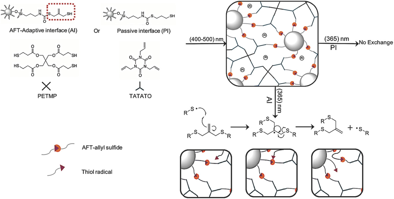 Dynamic Covalent Chemistry at Interfaces: Development of Tougher, Healable Composites through Stress Relaxation at the Resin–Silica Nanoparticles Interface — graphical abstract