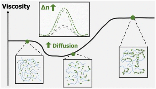 Dynamic Polymer Binder with Light-Regulated Molecular Weight via Addition–Fragmentation Chain Transfer for Holographic Recording — graphical abstract