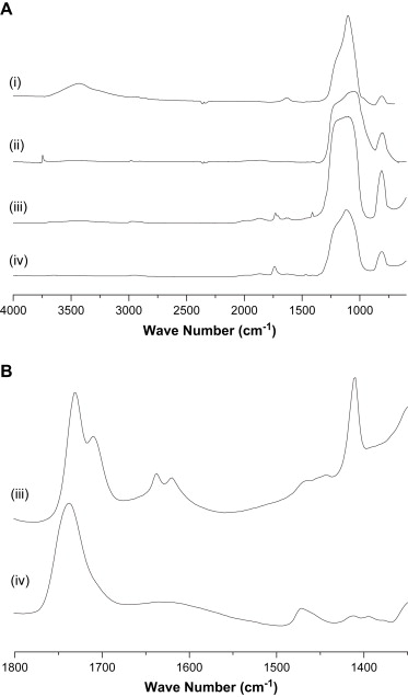 The effect of functionalized nanoparticles on thiol–ene polymerization kinetics — graphical abstract