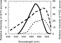 The effect of light intensity on double bond conversion and flexural strength of a model, unfilled dental resin — graphical abstract