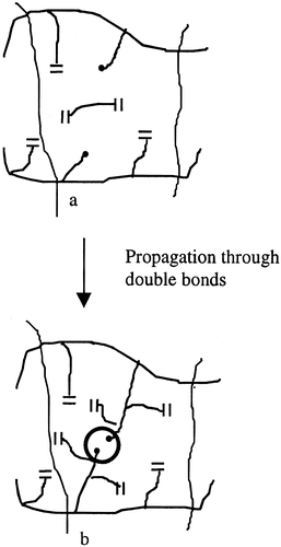 Effect of Polymerization Temperature and Cross-Linker Concentration on Reaction Diffusion Controlled Termination — graphical abstract