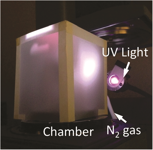 Effects of oxygen on light activation in covalent adaptable network polymers — graphical abstract