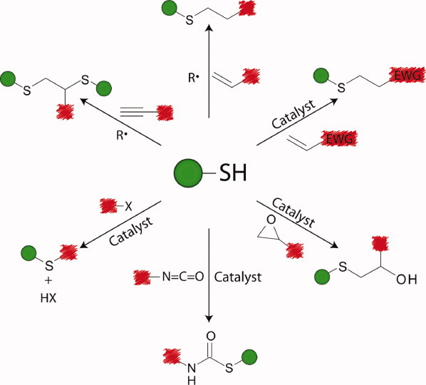 The emerging role of click reactions in chemical and biological engineering — graphical abstract