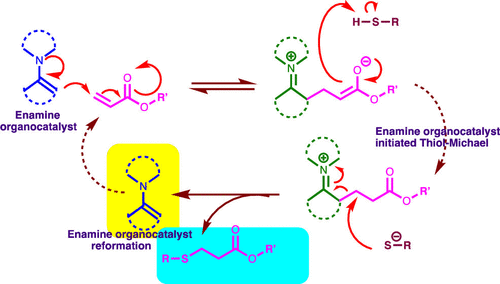 Enamine Organocatalysts for the Thiol-Michael Addition Reaction and Cross-Linking Polymerizations — graphical abstract