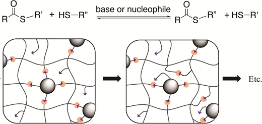 Enhancing the toughness of composites                    <i>via</i>                    dynamic thiol–thioester exchange (TTE) at the resin–filler interface — graphical abstract