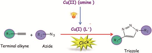Evaluation and development of novel photoinitiator complexes for photoinitiating the copper-catalyzed azide–alkyne cycloaddition reaction — graphical abstract