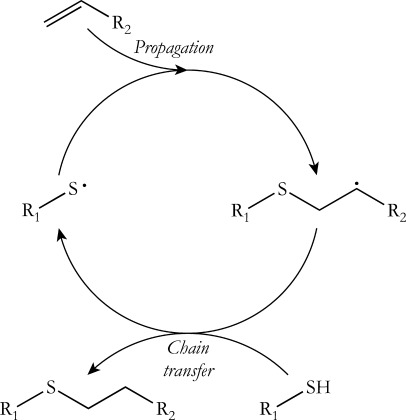 Evaluation of thiol‐ene click chemistry in functionalized polysiloxanes — graphical abstract
