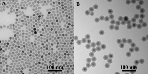 Experimental and theoretical photoluminescence studies in nucleic acid assembled gold-upconverting nanoparticle clusters — graphical abstract
