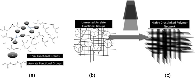 Fabrication and Characterization of Novel High Modulus, Two‐<scp>S</scp>tage Reactive Thiol‐<scp>A</scp>crylate Composite Polymer Systems — graphical abstract