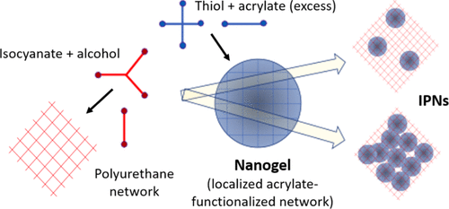 Functional Nanogels as a Route to Interpenetrating Polymer Networks with Improved Mechanical Properties — graphical abstract