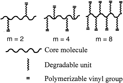 A Generalized Bulk-Degradation Model for Hydrogel Networks Formed from Multivinyl Cross-linking Molecules — graphical abstract