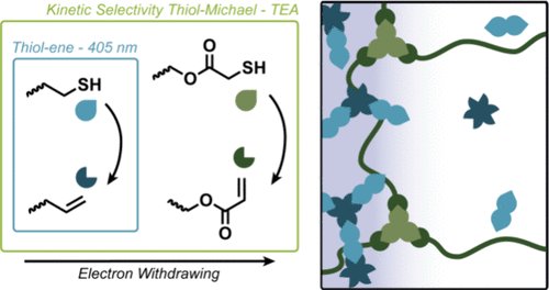 Holographic Photopolymers via Two-Stage Orthogonal Thiol-Click Chemistries Leveraging Kinetic Selectivity — graphical abstract