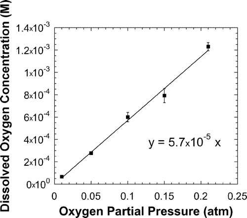 Impact of Oxygen on Photopolymerization Kinetics and Polymer Structure — graphical abstract