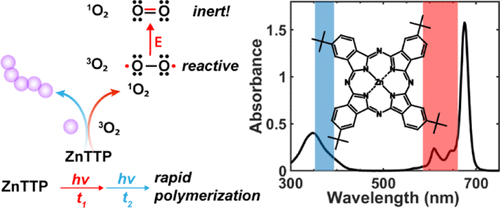 Independent Control of Singlet Oxygen and Radical Generation via Irradiation of a Two-Color Photosensitive Molecule — graphical abstract