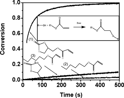 Influence of Secondary Functionalities on the Reaction Behavior of Monovinyl (Meth)Acrylates — graphical abstract