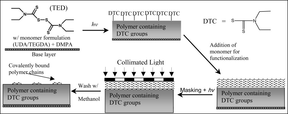 Integrated surface modification of fully polymeric microfluidic devices using living radical photopolymerization chemistry — graphical abstract