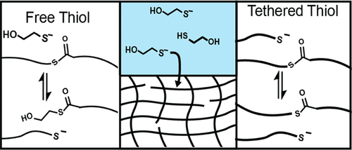Kinetic Analysis of Degradation in Thioester Cross-linked Hydrogels as a Function of Thiol Concentration, p<i>K</i><sub>a</sub>, and Presentation — graphical abstract