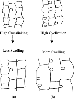 Kinetic modeling of the effect of solvent concentration on primary cyclization during polymerization of multifunctional monomers — graphical abstract