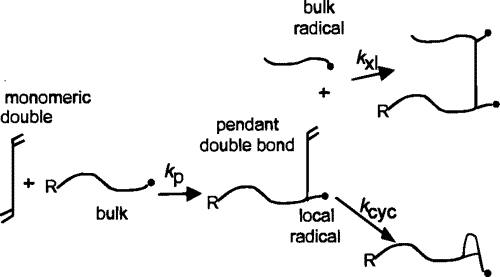 Kinetics of Primary Cyclization Reactions in Cross-Linked Polymers:  An Analytical and Numerical Approach to Heterogeneity in Network Formation — graphical abstract