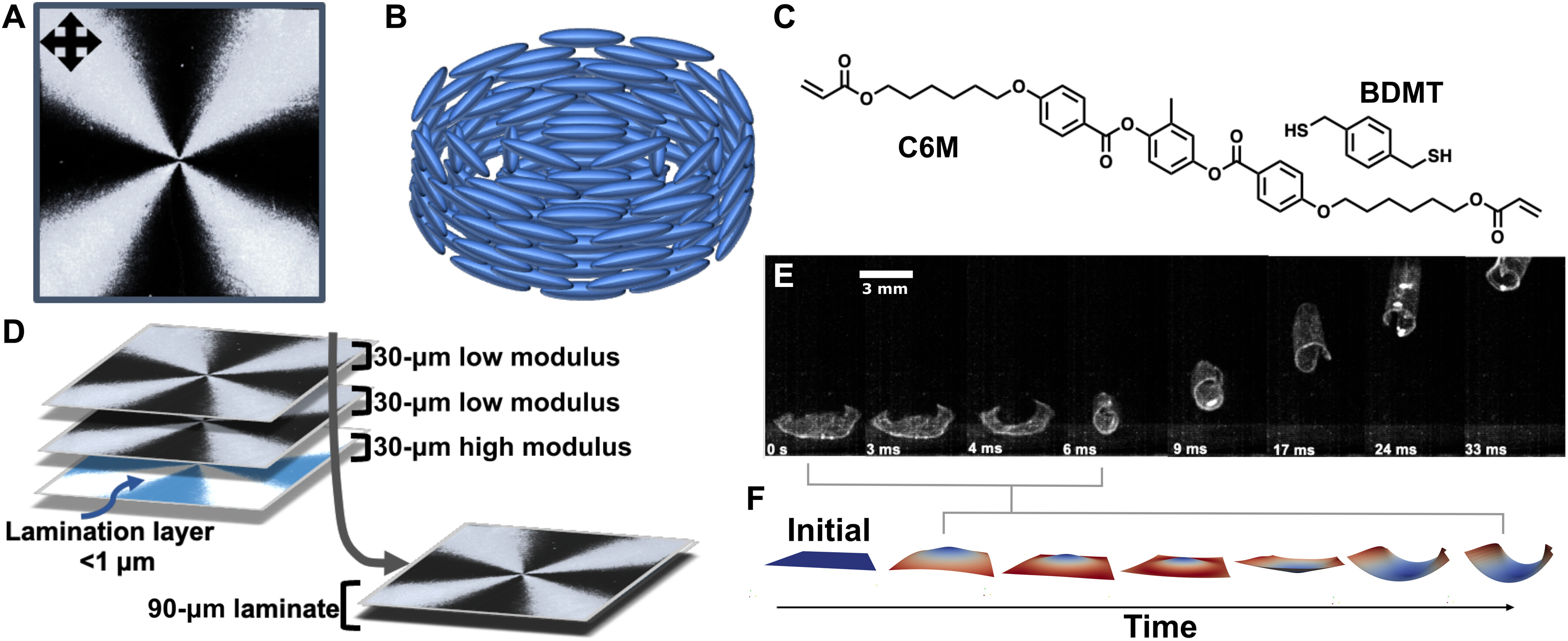 Leaping liquid crystal elastomers — graphical abstract