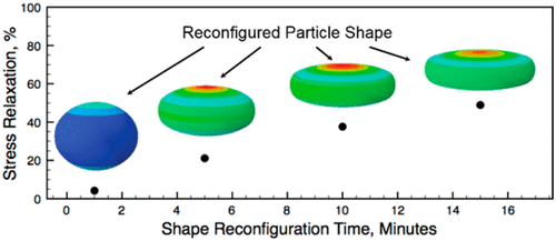 Light-Stimulated Permanent Shape Reconfiguration in Cross-Linked Polymer Microparticles — graphical abstract