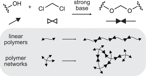 Linear and Network-Forming Acetal Polymerization of Multifunctional Alcohols with Dichloromethane for Degradable and Recyclable Materials — graphical abstract