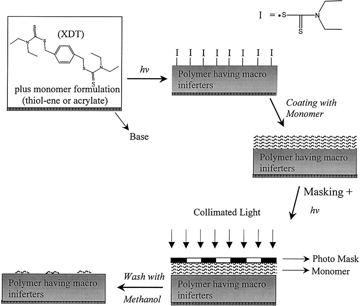 Living radical photopolymerization induced grafting on thiol–ene based substrates — graphical abstract