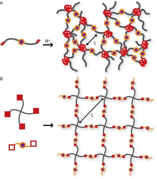Mechanical Properties of Cellularly Responsive Hydrogels and Their Experimental Determination — graphical abstract